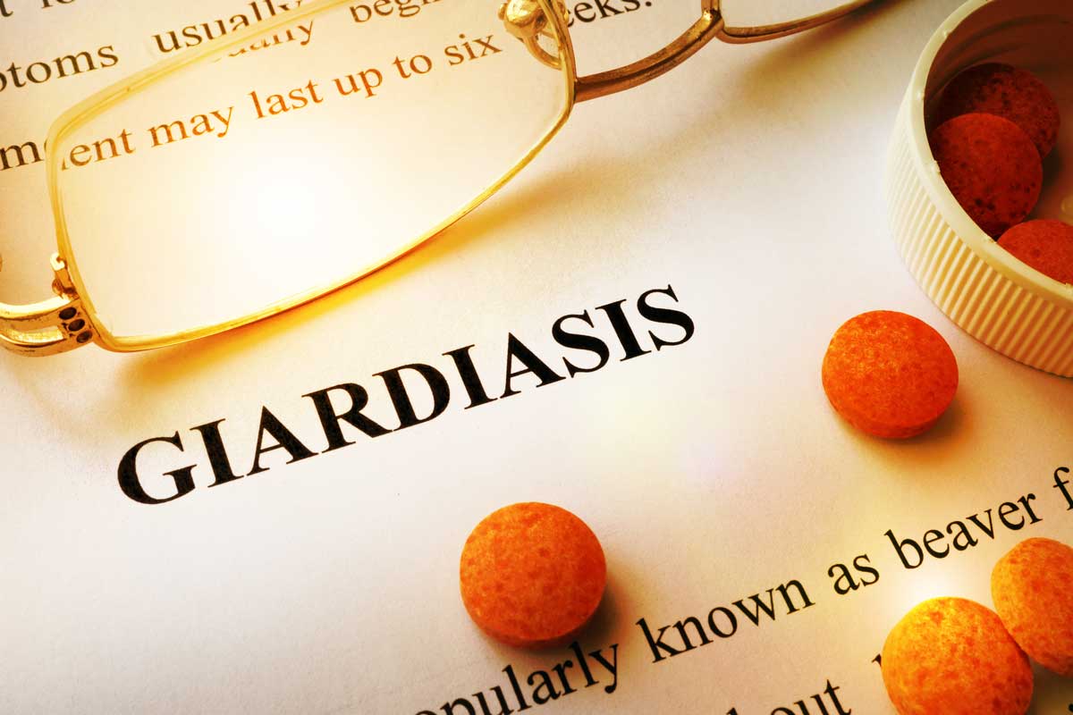 Giardiasis