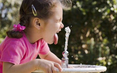 What are the potentially dangerous elements in the water we drink?    Water Health