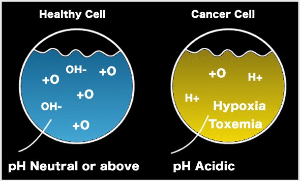 Healthy Alkaline Water